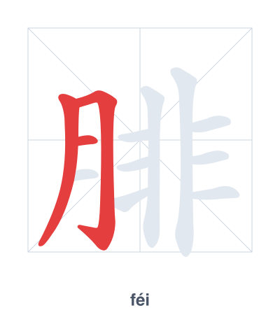 Stroke order practice for 腓 - féi