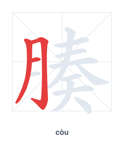 Stroke order practice for 腠 - còu