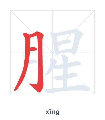 Stroke order practice for 腥 - xīng