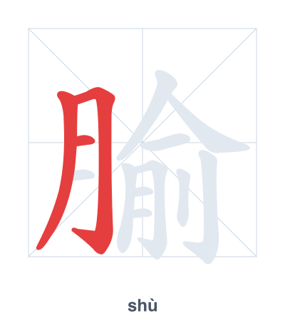 Stroke order practice for 腧 - shù
