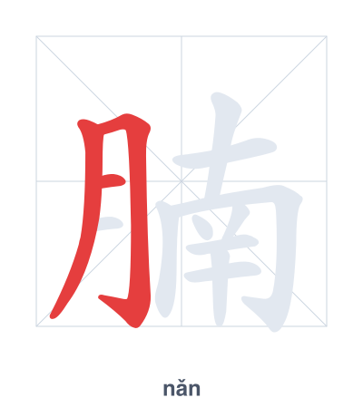 Stroke order practice for 腩 - nǎn