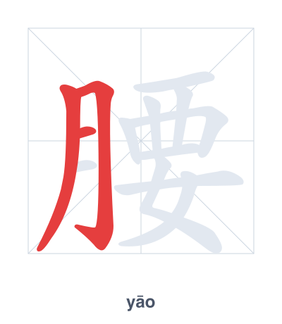 Stroke order practice for 腰 - yāo
