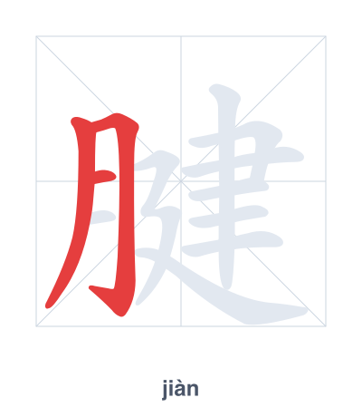 Stroke order practice for 腱 - jiàn