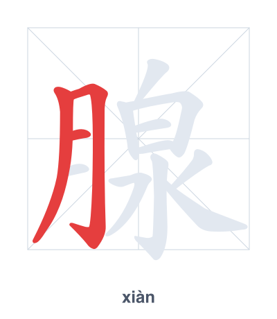 Stroke order practice for 腺 - xiàn