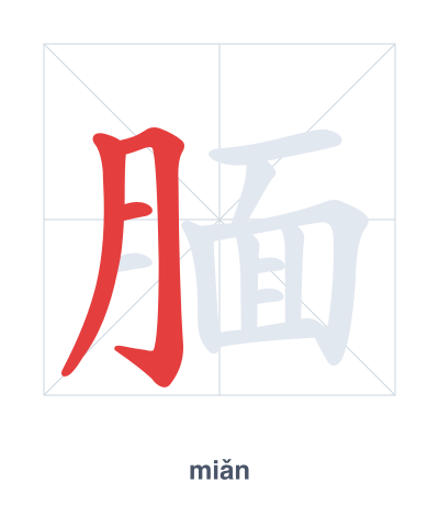 Stroke order practice for 腼 - miǎn