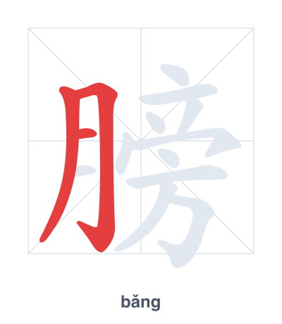 Stroke order practice for 膀 - bǎng