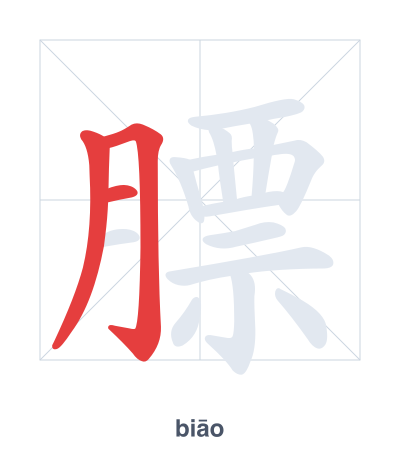 Stroke order practice for 膘 - biāo