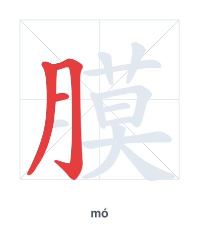 Stroke order practice for 膜 - mó
