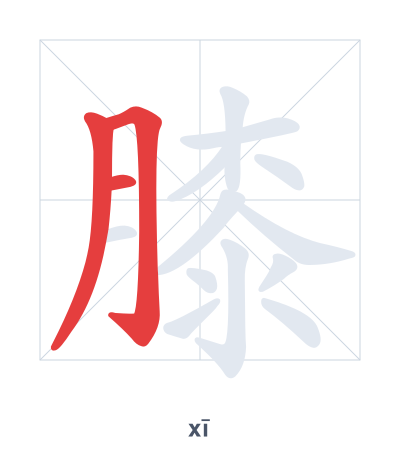 Stroke order practice for 膝 - xī