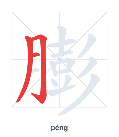 Stroke order practice for 膨 - péng