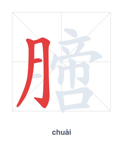 Stroke order practice for 膪 - chuài