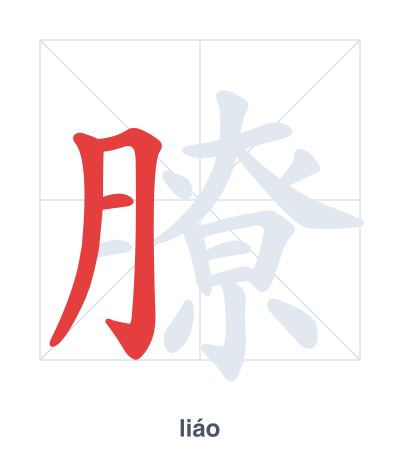Stroke order practice for 膫 - liáo