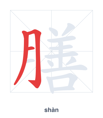 Stroke order practice for 膳 - shàn