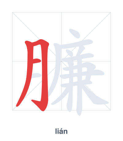 Stroke order practice for 臁 - lián