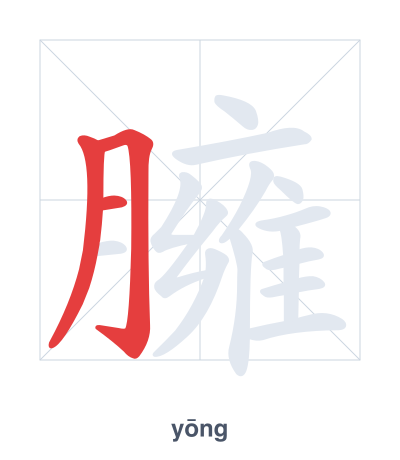 Stroke order practice for 臃 - yōng
