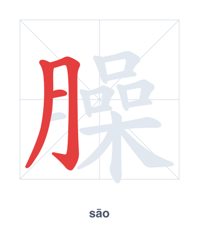 Stroke order practice for 臊 - sāo