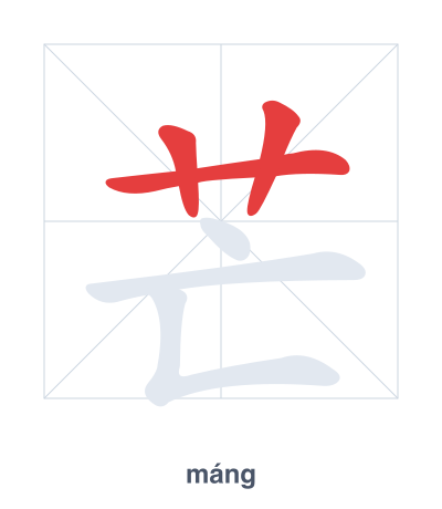 Stroke order practice for 芒 - máng