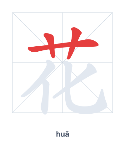 Stroke order practice for 花 - huā