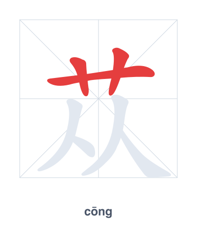Stroke order practice for 苁 - cōng
