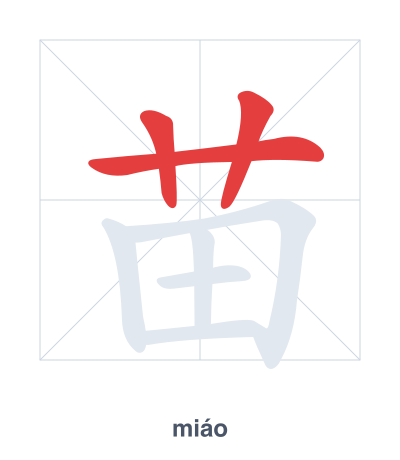 Stroke order practice for 苗 - miáo