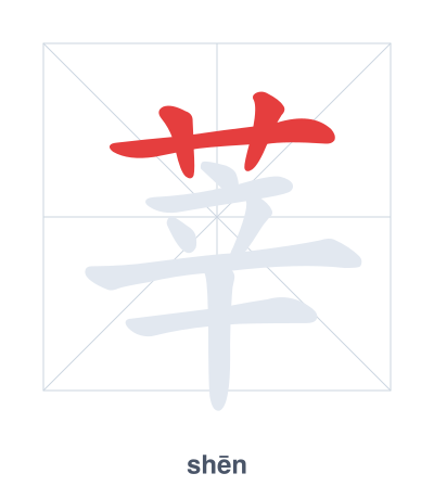 Stroke order practice for 莘 - shēn