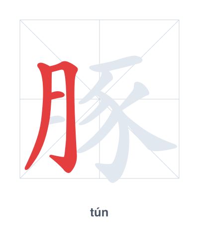 Stroke order practice for 豚 - tún