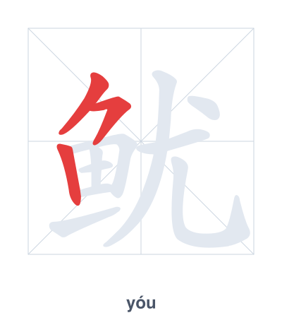 Stroke order practice for 鱿 - yóu