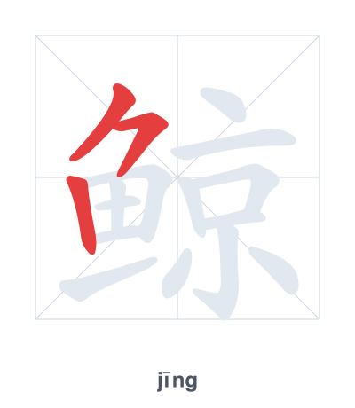 Stroke order practice for 鲸 - jīng