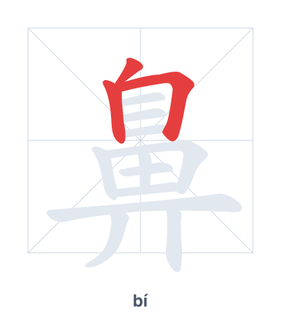 Stroke order practice for 鼻 - bí